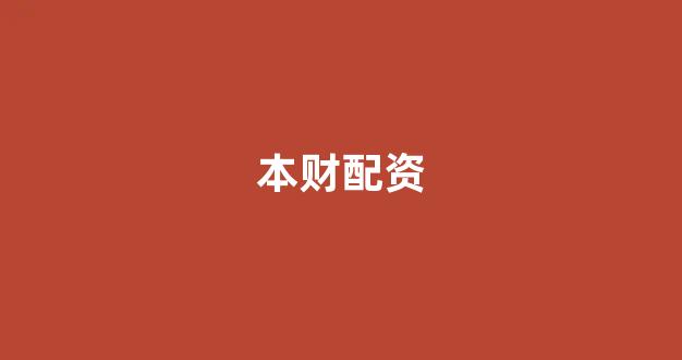 摆渡配资
